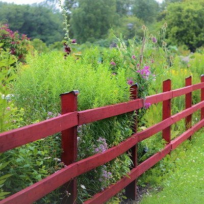 garden_01.jpg
