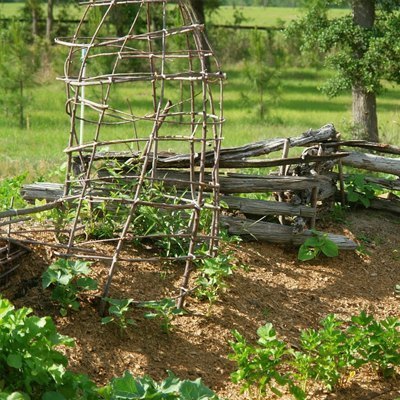 garden_09.jpg